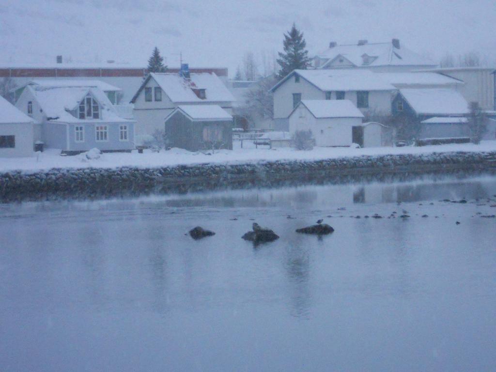 The Old Apothecary Hotel Egilsstadir Luaran gambar